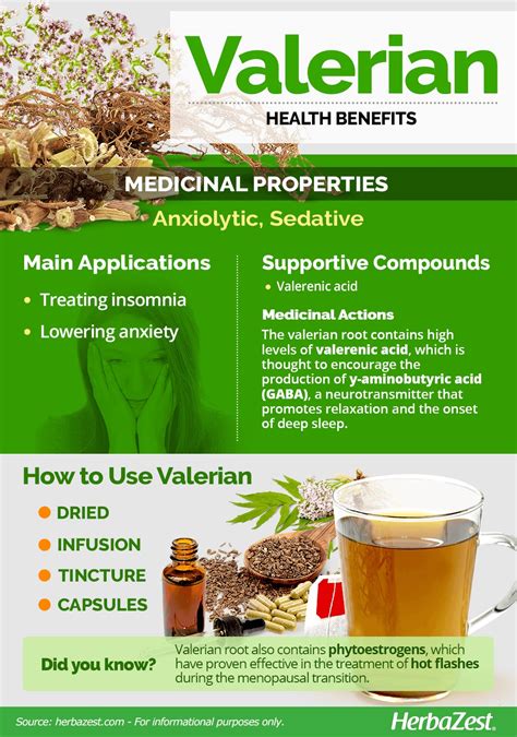 valerian uses and side effects.